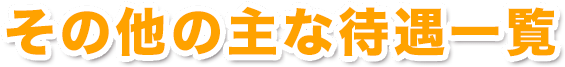 その他の主な待遇一覧