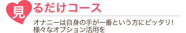 見るだけコース