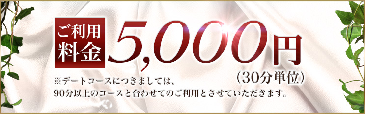 ご利用料金:5,000円(30分単位)