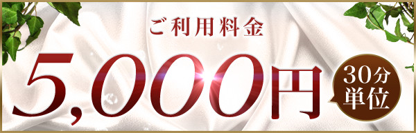 ご利用料金(30分単位)5,000円